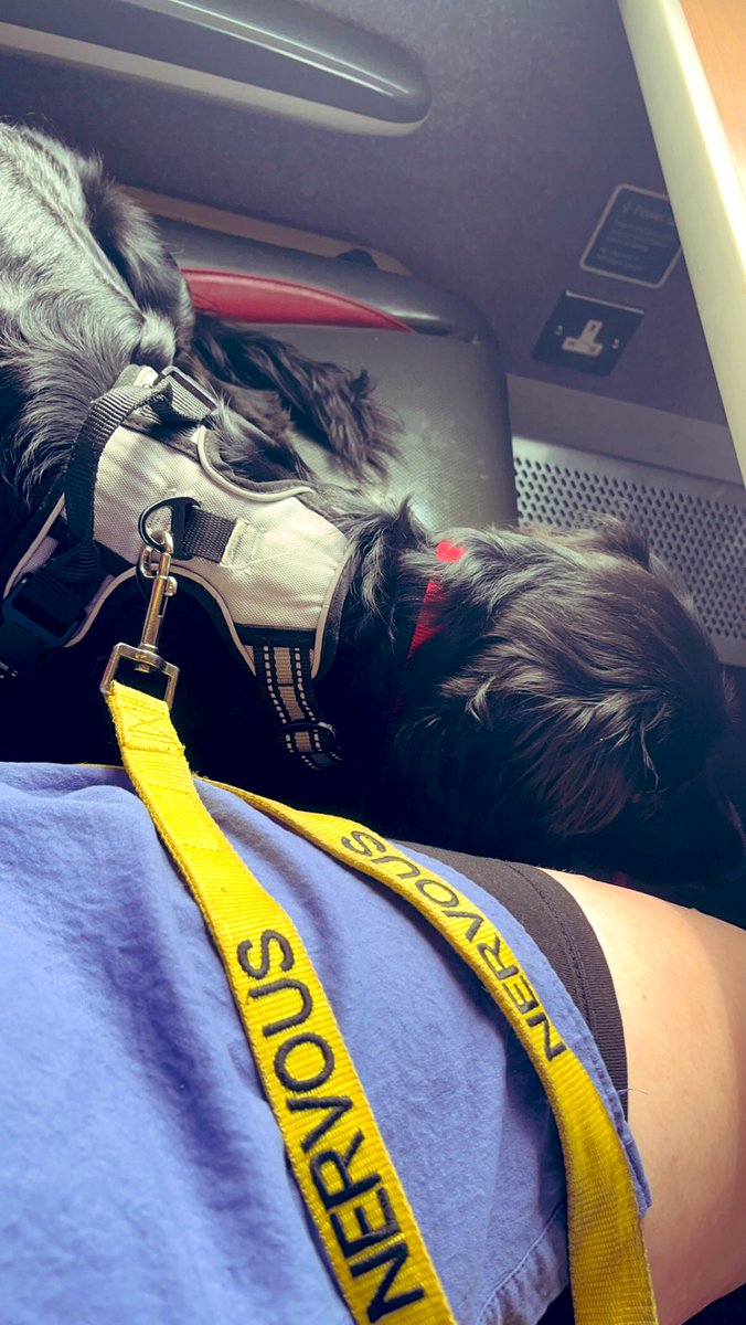 _GeorgiaDay_'s tweet image. Thank you to the kind members of staff aboard the 15:35 @LNER train from St. Neott’s to Leeds. ❤️

Otis is a nervous dog around people and with the help of your staff, we travelled safely to where we needed to be without fuss, in a quiet area. I also think he enjoyed the views!