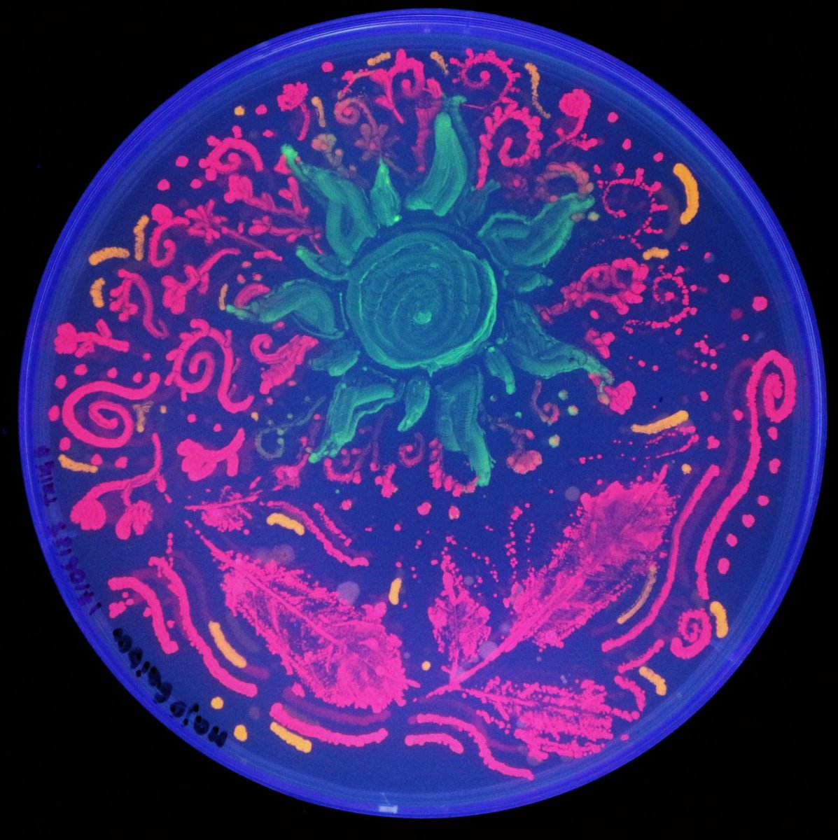 Andrés Yarzábal @microbiotecBM tweet media