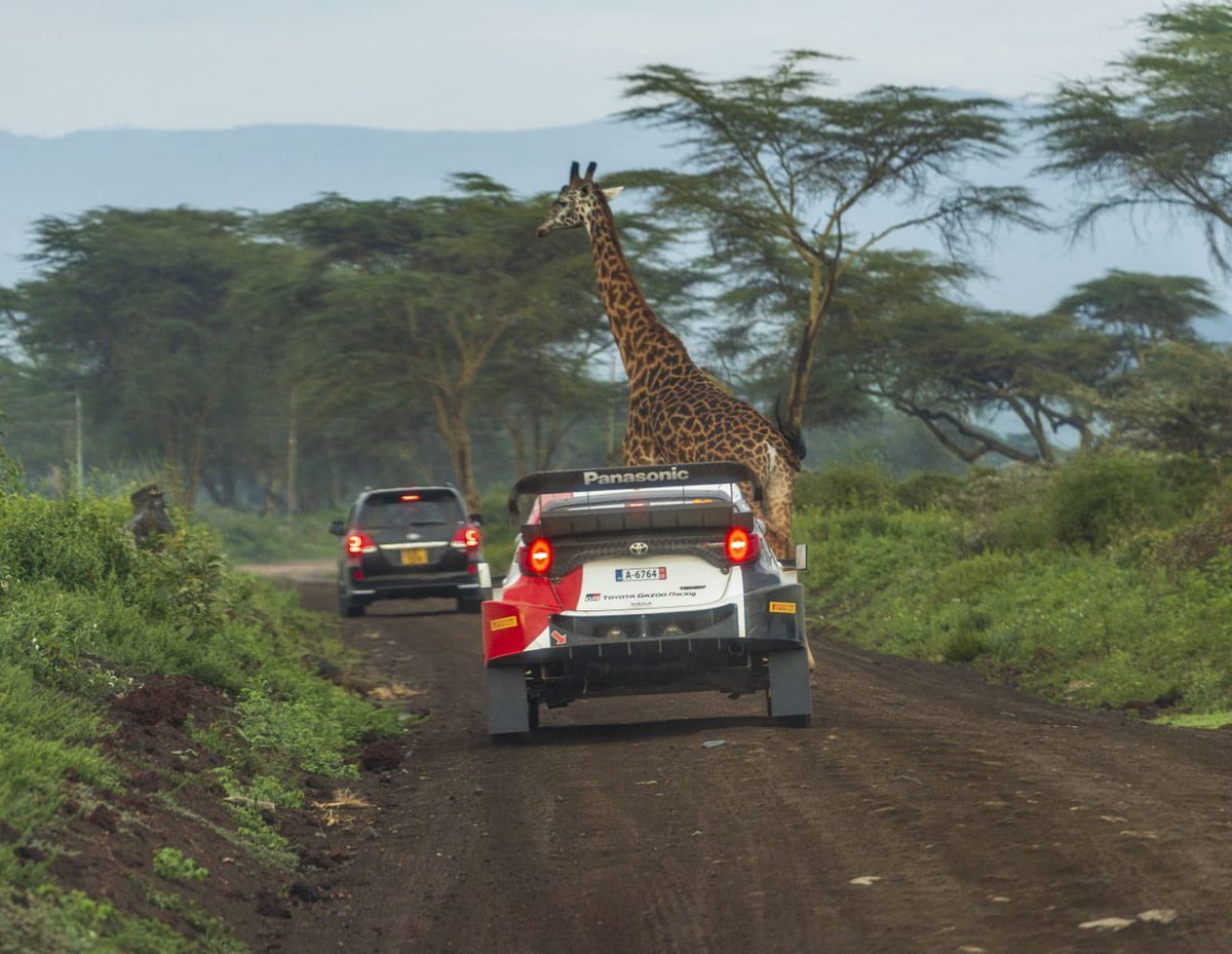 Our country is beautiful 🤩
📷 @ItsMiller_G 
#WRCSafariRally2023 
#CFAOMotorsDrivesKenya