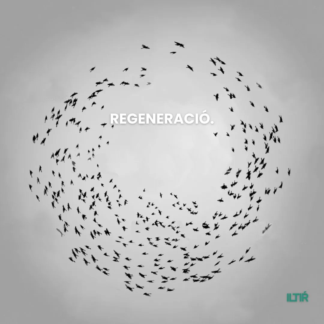 Resilience.Earth tweet media