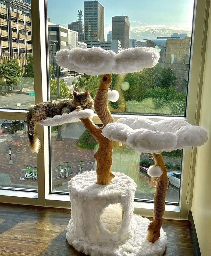 CutieBabyNelly's tweet image. Le meılleur αrbre ὰ chαt :