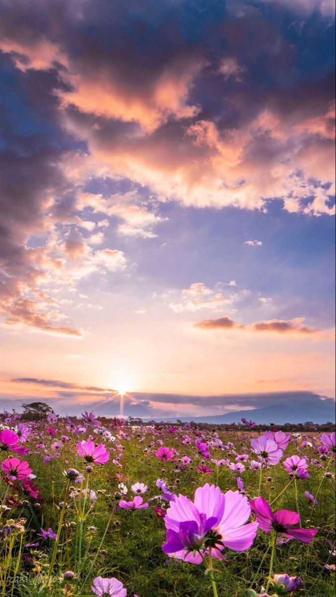 CutieBabyNelly's tweet image. Le meılleur pαчsαge :