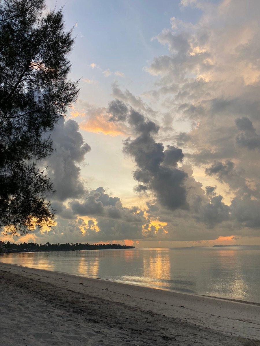 fatinbtrsya's tweet photo. 28 apr 23 
W/sunrise🦋 https://t.co/OAgHFqoAGy