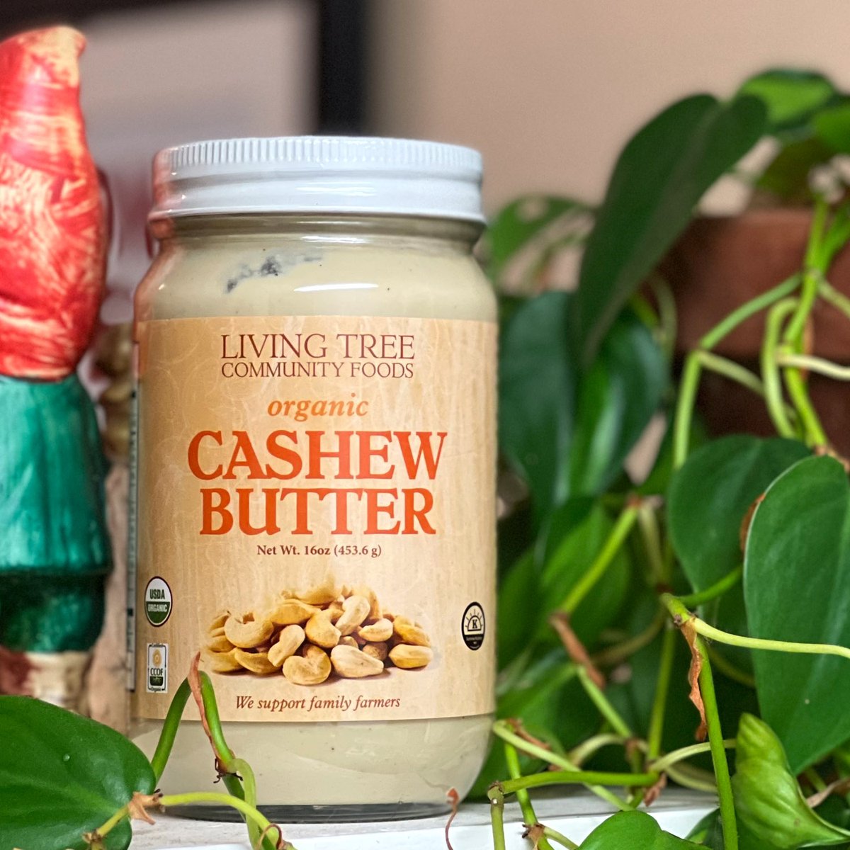 livingtree's tweet photo. 10% off our Cashew Butter 16oz - Organic in June! 
Created from organic cashews and our raw organic Almond Oil. It is produced slowly, in small batches, to give it a creamy texture. 
Remember, you get an additional 10% off with an order of 3 or more!
https://t.co/PyBGvc3YLF https://t.co/gkTDVRggjY