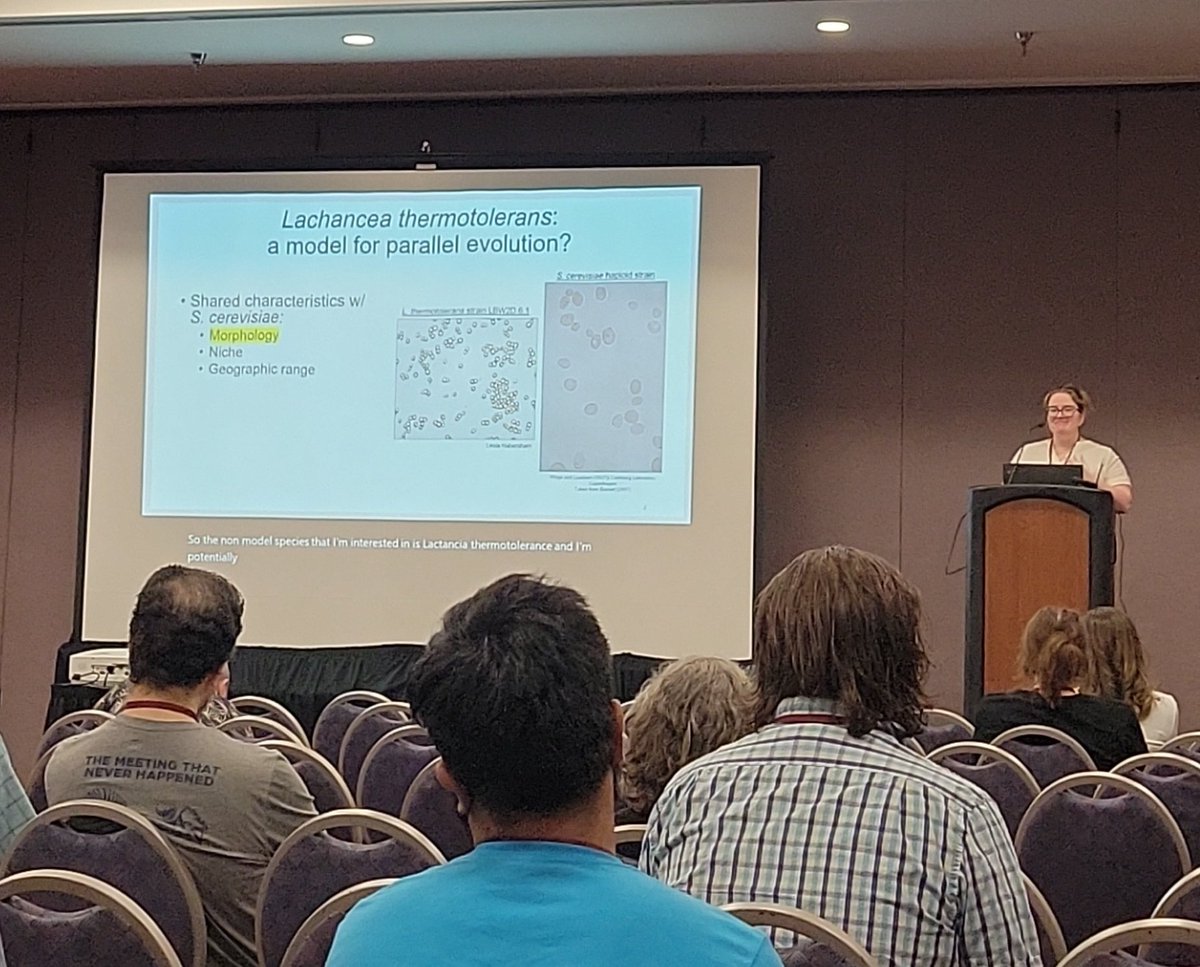 Yeast @ #Evol2023 !!

<a href="/audreykward/">Audrey Ward</a> is hard at work developing Lachancea thermotolerans as a model for pop gen 

🧽🧬🌎