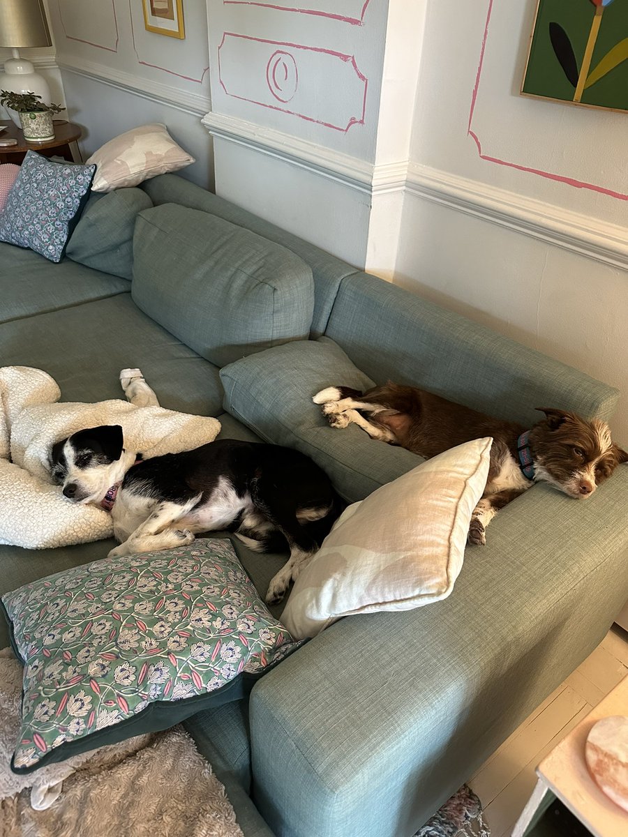 Joseph Papa (he/him) tweet media