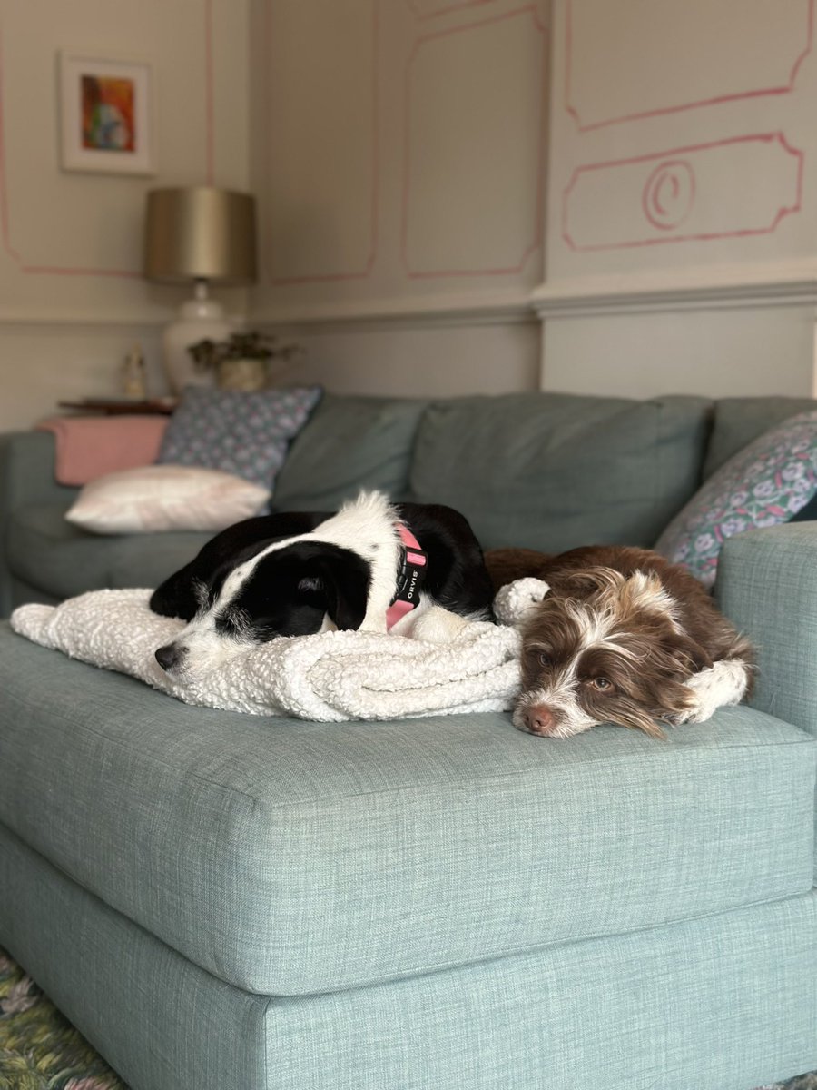 Joseph Papa (he/him) tweet media