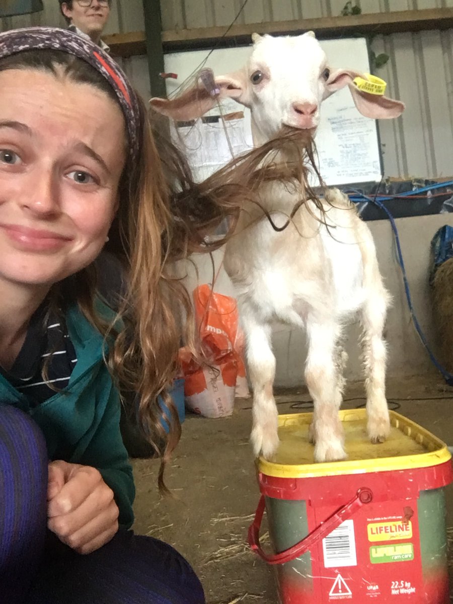 I am job hunting (please share) 

I have a BSc in animal behaviour &amp; welfare form Bristol &amp; have just submitted my PhD to Reading on artificially reared goat kids. Since 2019 I’ve convened a third year animal welfare module &amp; redesigned all content to integrate flipped learning