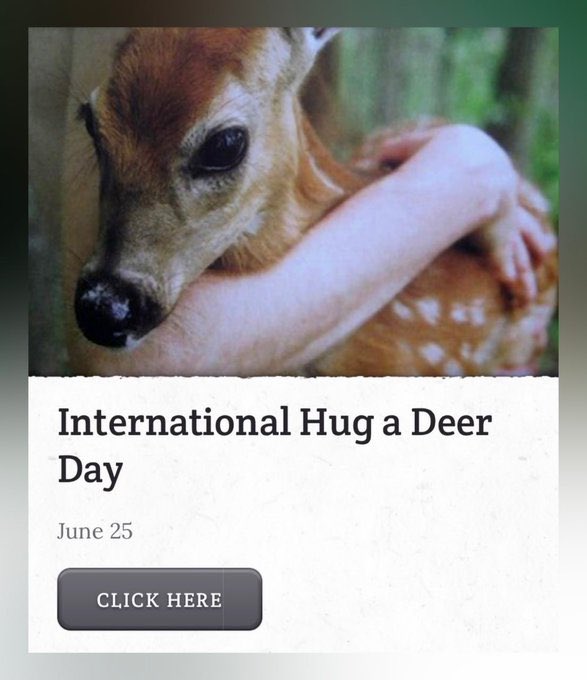 Eyyyy look what day it ! Hugz please!