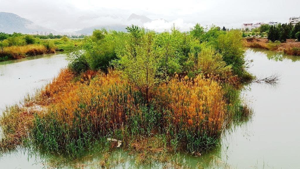 YusufYavuz3's tweet photo. Antalya kent merkezinde, Konyaaltı bölgesinde bulunan Boğaçayı, son günlerde yine kirlilik ve taşkınla gündemde. Bu fotoğraflar, Boğaçayı’nın sahille buluştuğu bölgede  “çılgın proje” uygulanmadan önce çekildi. Doğal yaşamın sürdüğü bir sulak alandı.
https://t.co/VxfYK7neR7 https://t.co/fqOYGXAQqO