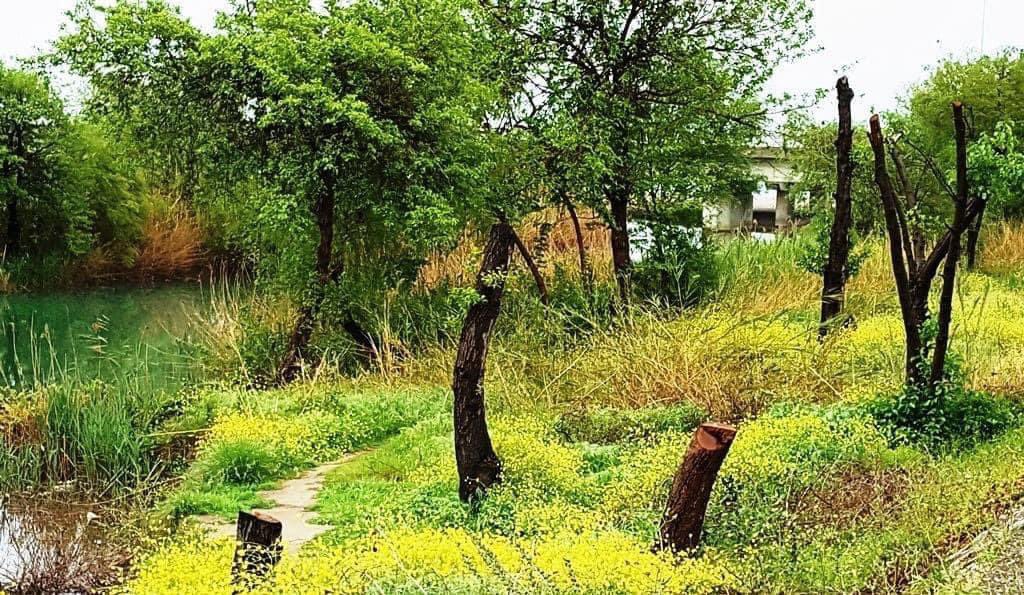 Antalya kent merkezinde, Konyaaltı bölgesinde bulunan Boğaçayı, son günlerde yine kirlilik ve taşkınla gündemde. Bu fotoğraflar, Boğaçayı’nın sahille buluştuğu bölgede  “çılgın proje” uygulanmadan önce çekildi. Doğal yaşamın sürdüğü bir sulak alandı.
…eteciyazaryusufyavuzcom.wordpress.com/2018/12/24/bog…