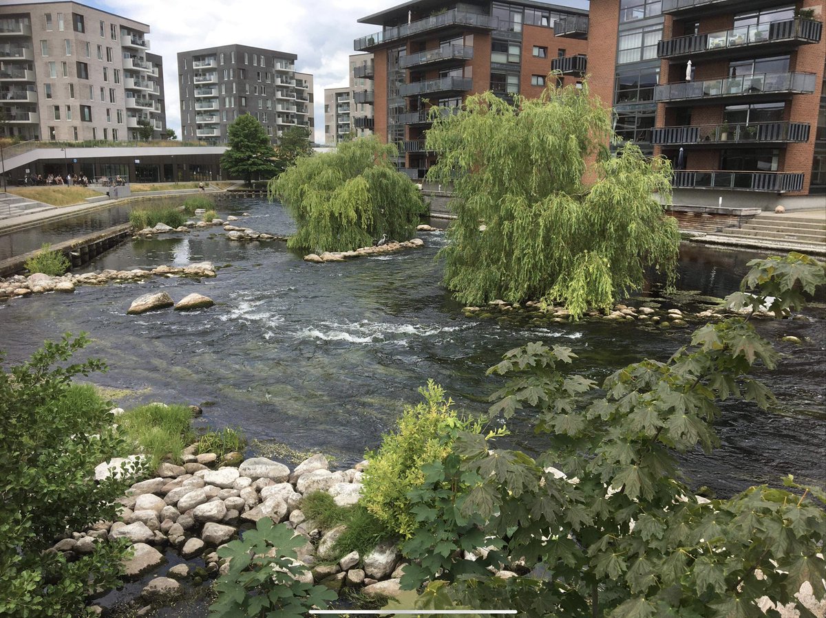 Midt i Silkeborg dd💚 Her bor jeg, og er glad for det (1 1/2km fra centrum) Natur, tilpas stor og nok med caféliv og kultur. Her bliver jeg.
 Desværre er boliger blevet så dyre, at det er ikke nemt for de unge. 

Er du glad for din bopæl, by? Hvad gør den god? Vil du blive der?