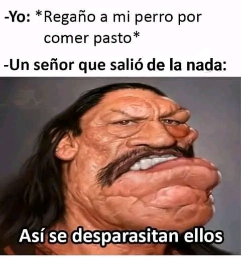 LalinstDeacky's tweet photo. No todo tiene que ser malo en twitter, aquí un meme para que tengan un feliz domingo 🌹🦄 

#humor # https://t.co/cP7Yz13EQj