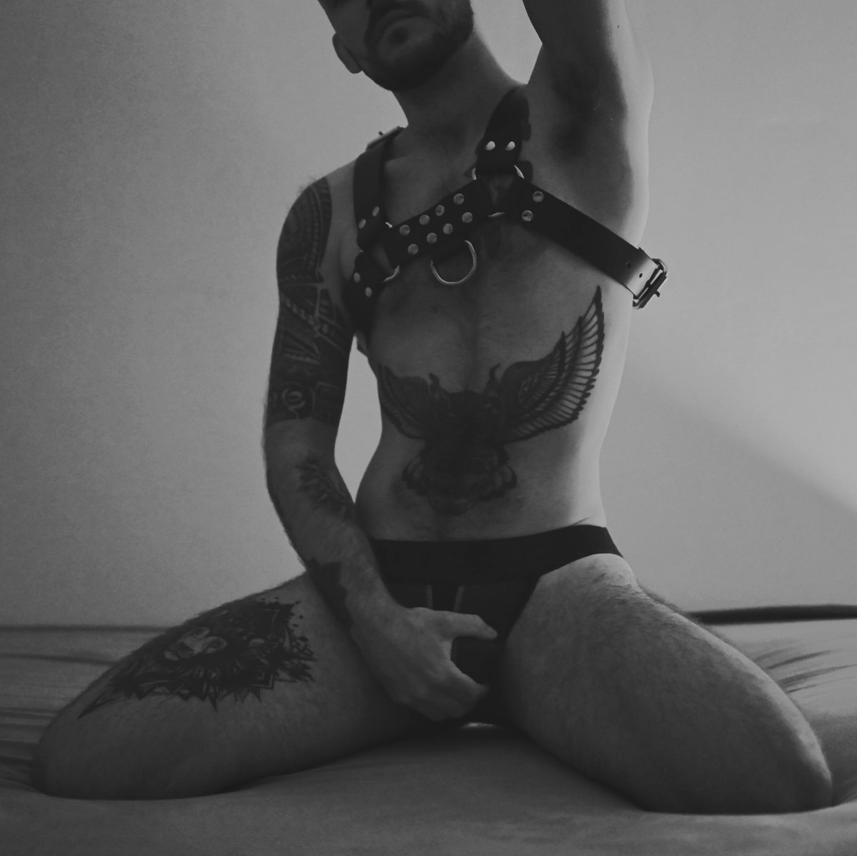 TheMaximusTop tweet media