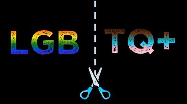 PatzwaldtPetra's tweet image. Sowas hier ist nicht auf unseren Mist gewachsen! Wir wollten immer nur in Ruhe unser Leben Leben und lieben, wen wir lieben. 

Als die TQ+ uns das Ruder aus der Hand rissen, fingen sie an, das Schiff in unser Verderben zu steuern.

#SCHEIDUNG!!!

#LGBWithoutTheT 
#LGBWithoutTheTQ