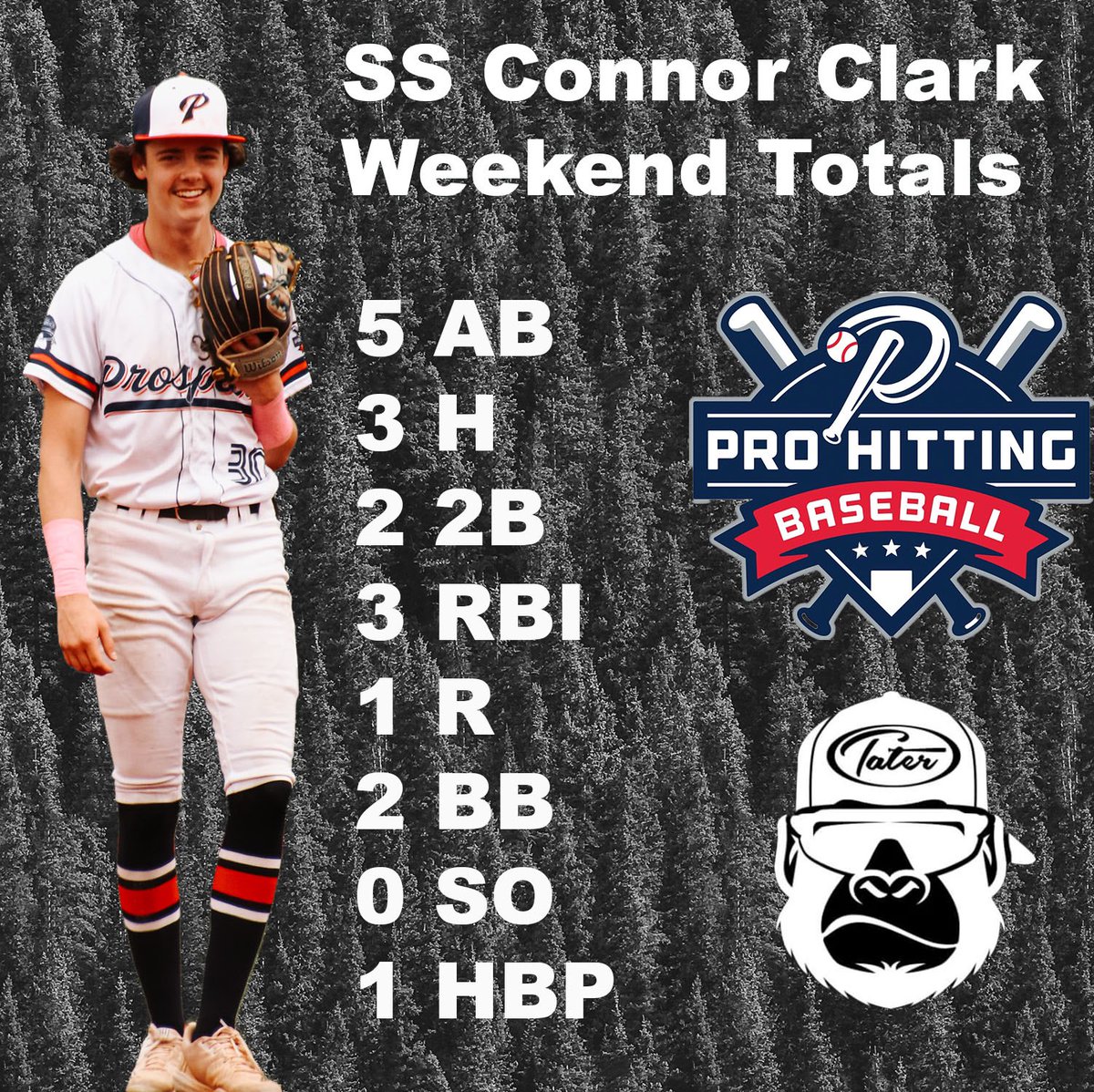 Pro Hitting Prospects 17U tweet media
