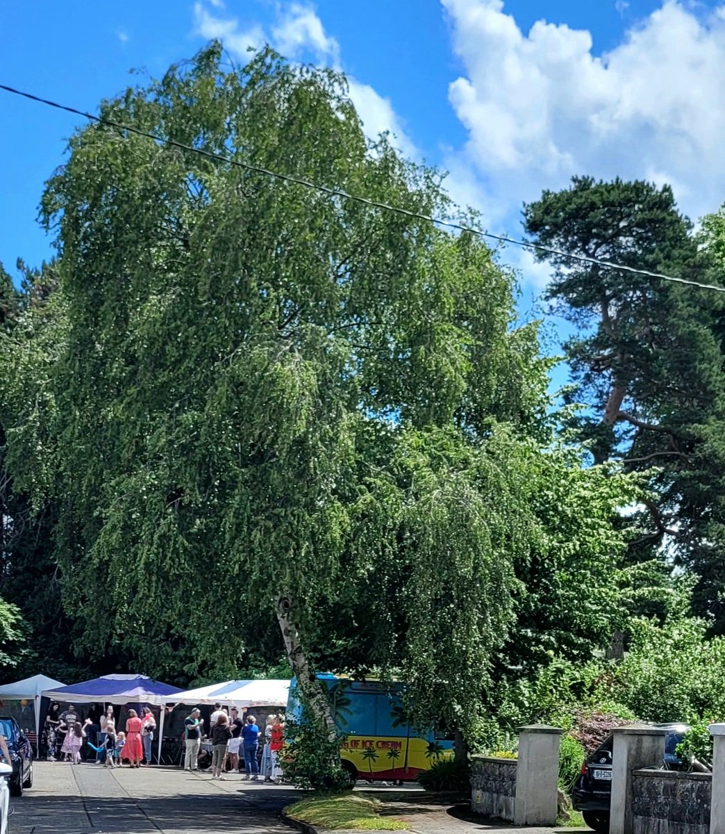 Billy Linehan 🇲🇽🇨🇦🇺🇦🇪🇺 tweet media