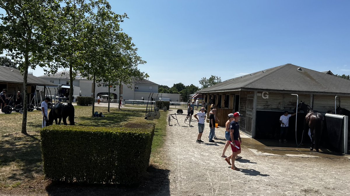 clangouet2017's tweet photo. Belle journée à l’ @Hippodrome53400 
Avec le concours de #percherons et la visite des lieux sans oublier la ballade en calèche 
👏 et 🙏 à tous celles et ceux qui permettent ces beaux moments #benevoles 
@PaysCraon @lamayenne @paysdelaloire #Craon https://t.co/VC4RbSeSUv