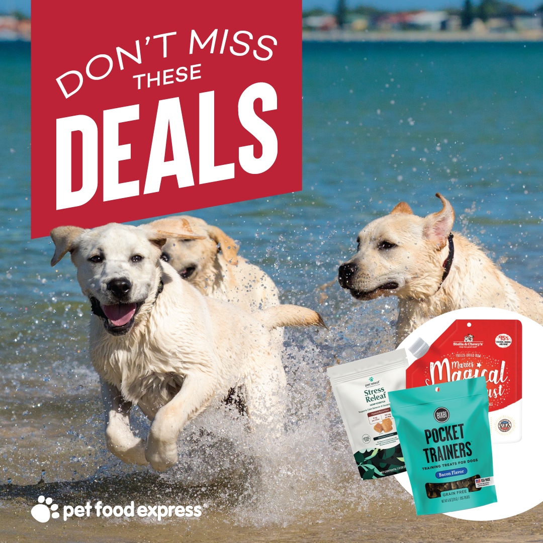 Unlock incredible savings this June with code JUNEDEALS! 🎉 From food toppers to training treats, toys, and more, enjoy multiple discounts on all your pet essentials. Shop in-store or online. l8r.it/Yrjs #petfoodexpress