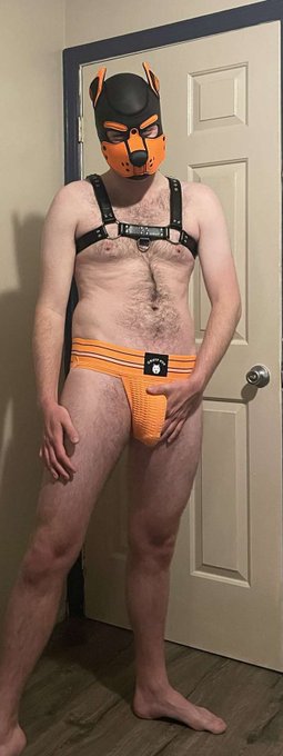 Am I a good boy or a bad dog? 😈🐶 so over the moon to finally experience pup play wearing @MrSLeather<a href="/tag/pupplay"class="tags"><span>#pupplay</span></a>