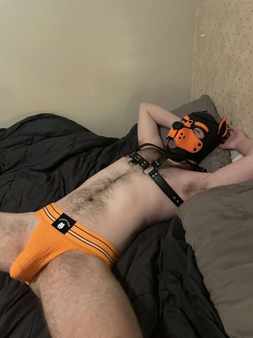 Am I a good boy or a bad dog? 😈🐶 so over the moon to finally experience pup play wearing @MrSLeather<a href="/tag/pupplay"class="tags"><span>#pupplay</span></a>