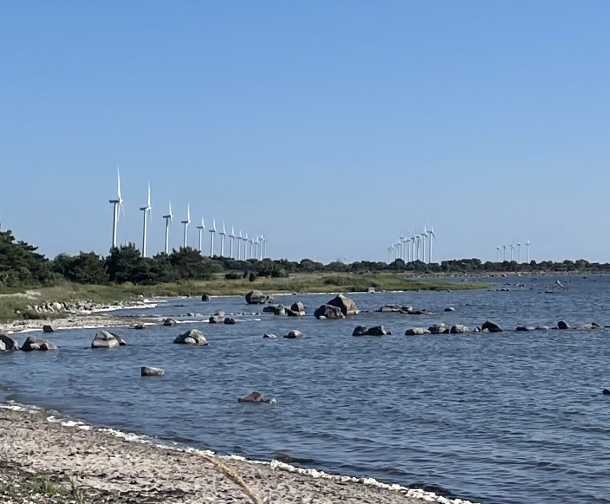 .@salmonid_sara: That beach is probably really windy. 
Me: Naaah 
Beach: