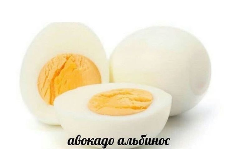 吸血鬼 (@riiiroos) on Twitter photo 