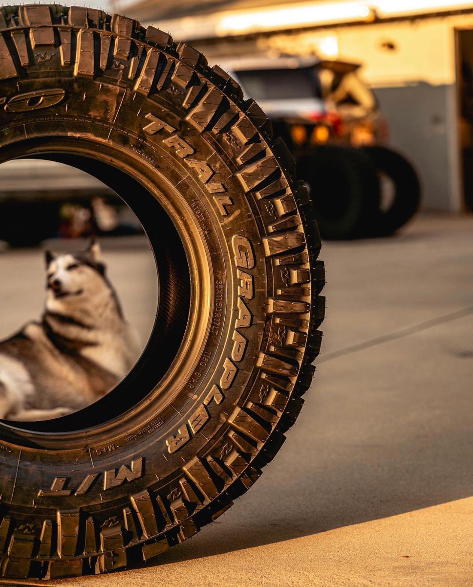 #TrailGrappler golden hour ☀️ + doggo 🐕️