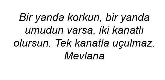 erkekadamblogu's tweet photo. Bir işe girişmek için gerekli olan itkiyi, sadece bu iş sonucunda kazanacaklarınızı hayal edip motive olarak sağlayamazsınız. İtkiyi, o işe girişmezseniz kaybedeceklerinizi, içine düşeceğiniz durumu hayal edip korkarak da elde etmelisiniz. https://t.co/ON5NivtERH