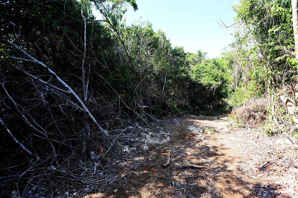 #ECOCIDIO en Falcón. ABRIMOS HILO. Construyen UNA CARRETERA EN MEDIO DE UN CAYO DEL PARQUE NACIONAL MORROCOY. El ministro de Ecosocialismo, Josue Lorca, de manera arbitraria y sin pasar por las revisiones técnicas ambientales y la aprobación de las demás instituciones (1)