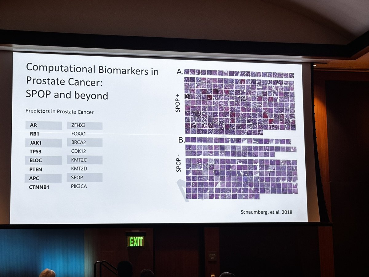 Salma Kaochar tweet media