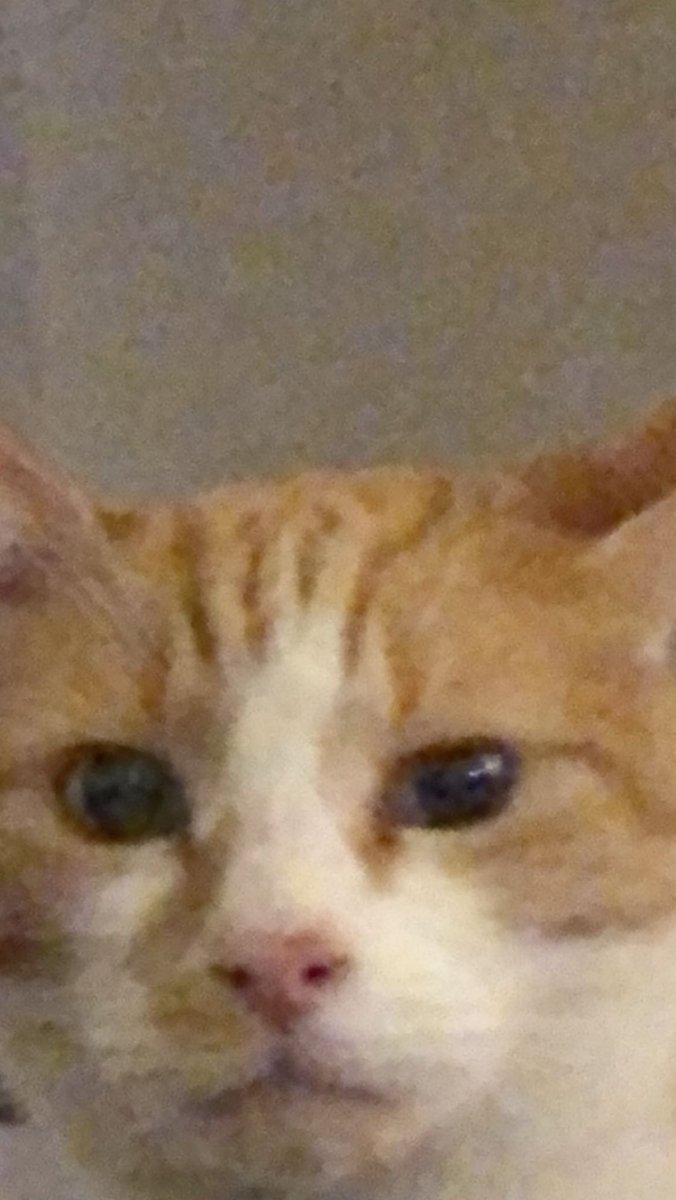 This is your last chance #eltonjohn to bring Britney out