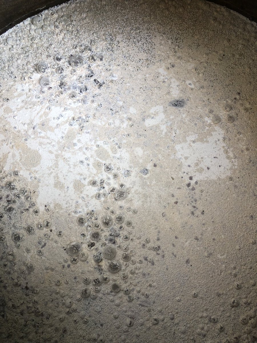 Corramos un tupido velo. Las maravillas de la naturaleza tras 9 meses bajo tierra. Verdejo de Santiuste de San Juan Bautista.