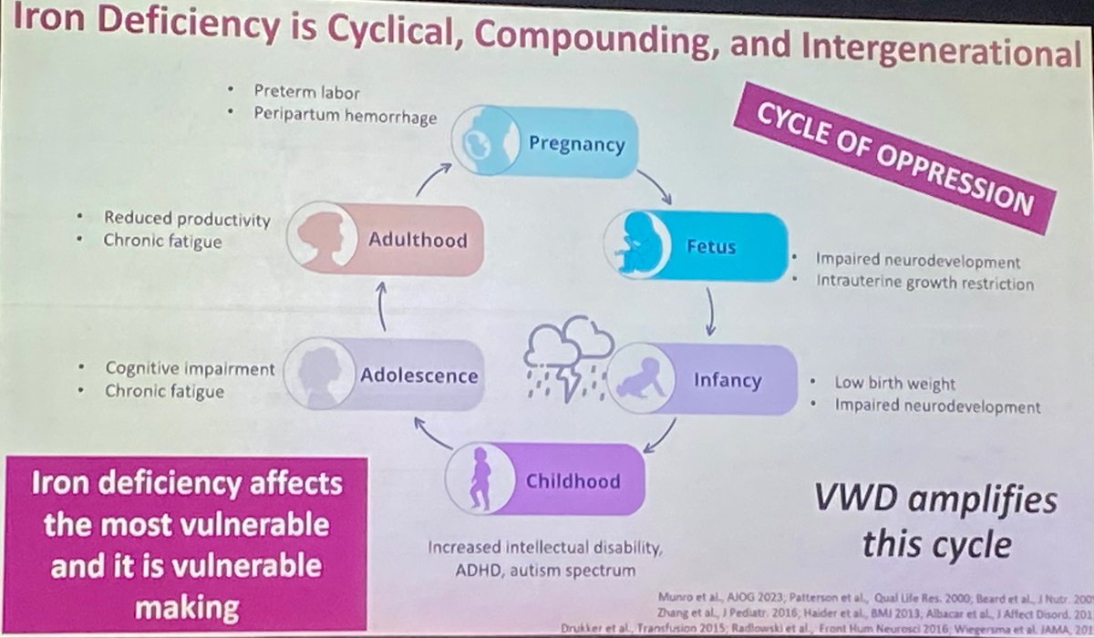 MPaiMD's tweet photo. @MickeyPZ1 Dr Mickey Zeller is my Iron Woman Hero at @MacDeptMed. These slides from Dr @sholzberg is why she &amp; many others do the good work of treating iron deficiency anemia! 33% of the WORLD has iron deficiency anemia - we are desensitized to this. We can do better! #ISTH2023 https://t.co/TFMYuIishH