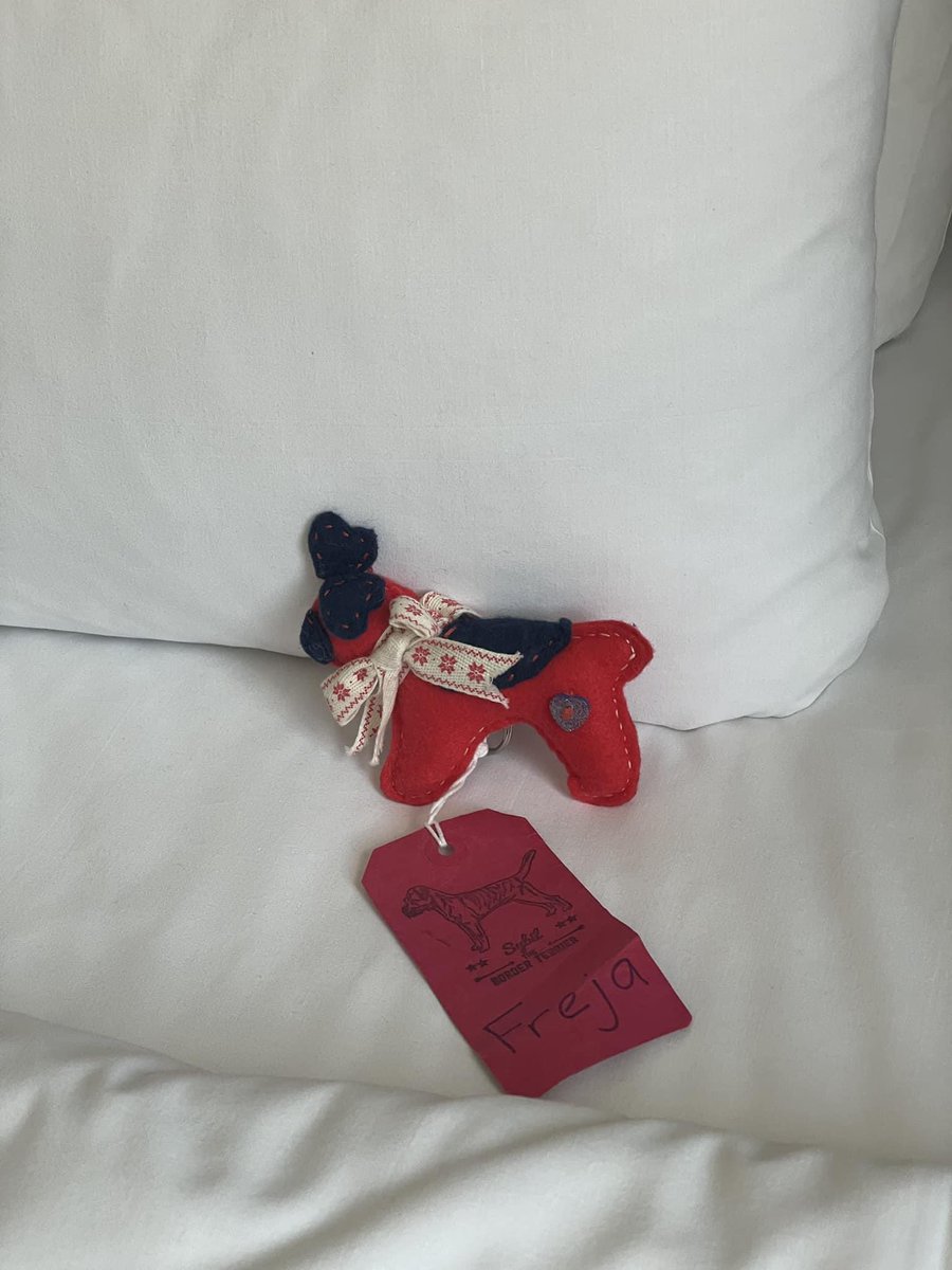 Real Freja would have always made herself at home on a hotel bed, so this little #hounds4huntingtons #sybilontour is a good momento for that too! Spreading awareness of Huntingtons Disease as we prepare to see P!nk in Hyde Park. And a good remember Freja the lovely elkhound too!
