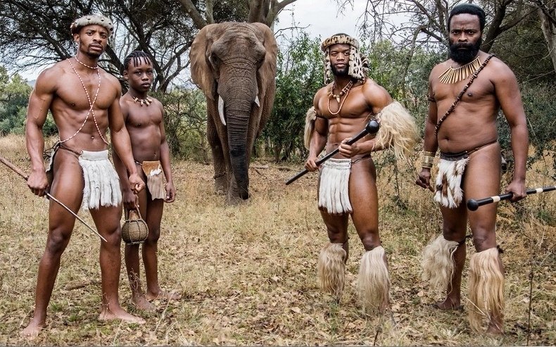 Mrfit_SA's tweet photo. Wherever my King go I go Zulu!!!!!

#ShakaiLembeMzansi 
#Nomzamo https://t.co/AJDuRmHgmA