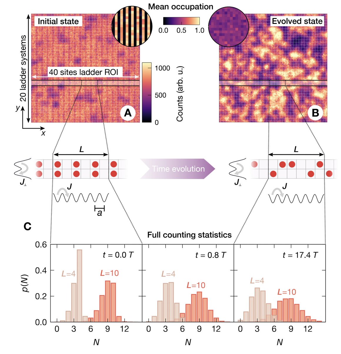 Atomic Physics (Past & Present) tweet media