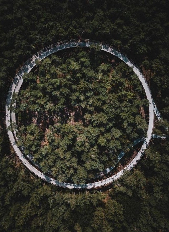 Architecture Sight tweet media