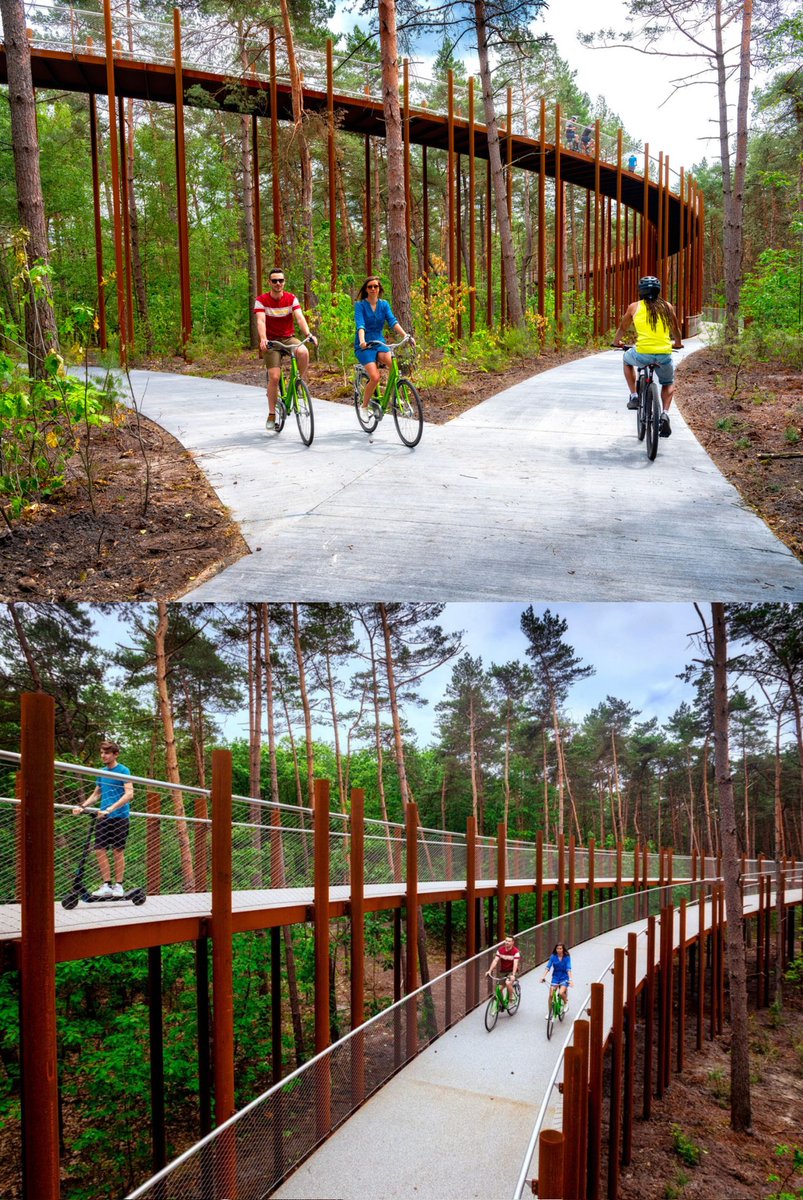 Architecture Sight tweet media