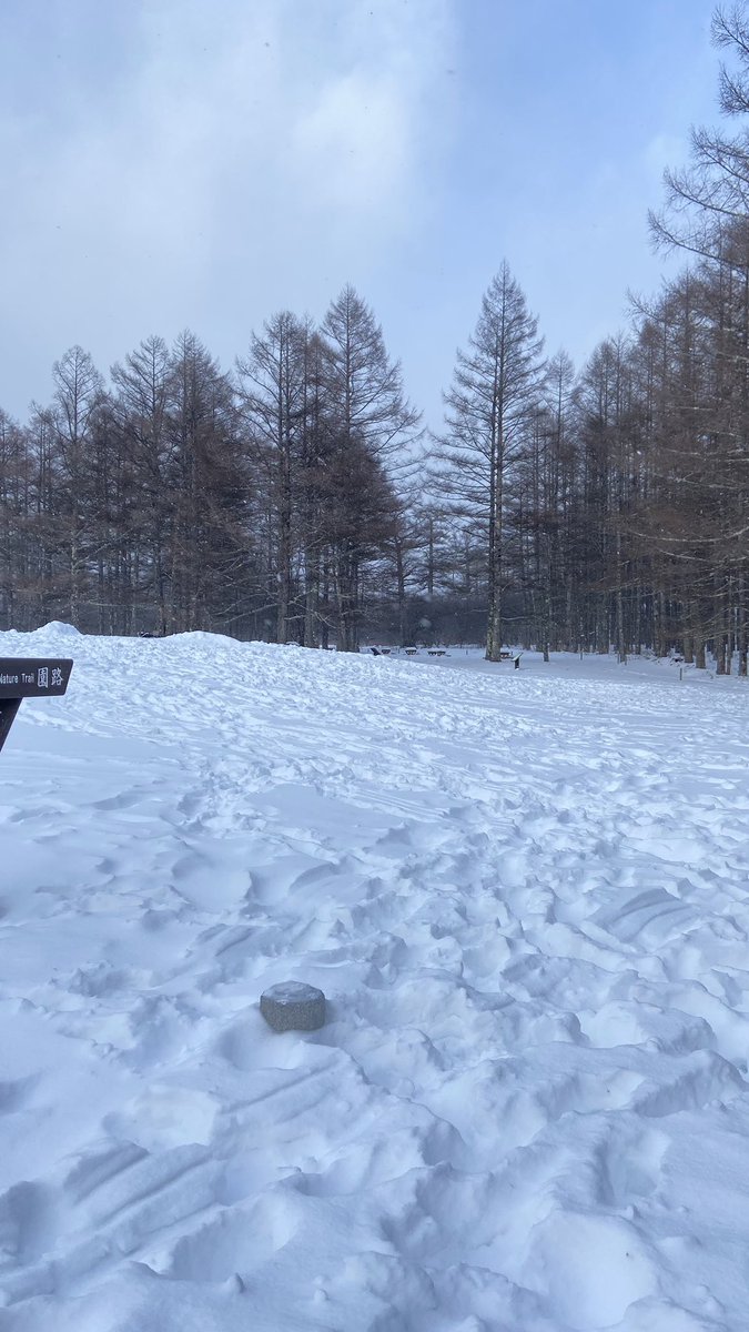 pdforphoto's tweet photo. #栃木県 #栃木 #日光市 #日光 #中宮祠 #華厳 #華厳の滝 #冬 #雪 #雪化粧 #滝 #自然 #水 #川 #バイク #写真 #風景 #風景写真 #観光 #デートスポット #japan #tochigi #nikou #waterfall #motorcycle #bike #snow #photo #nature #water https://t.co/EsHlPrm7gr