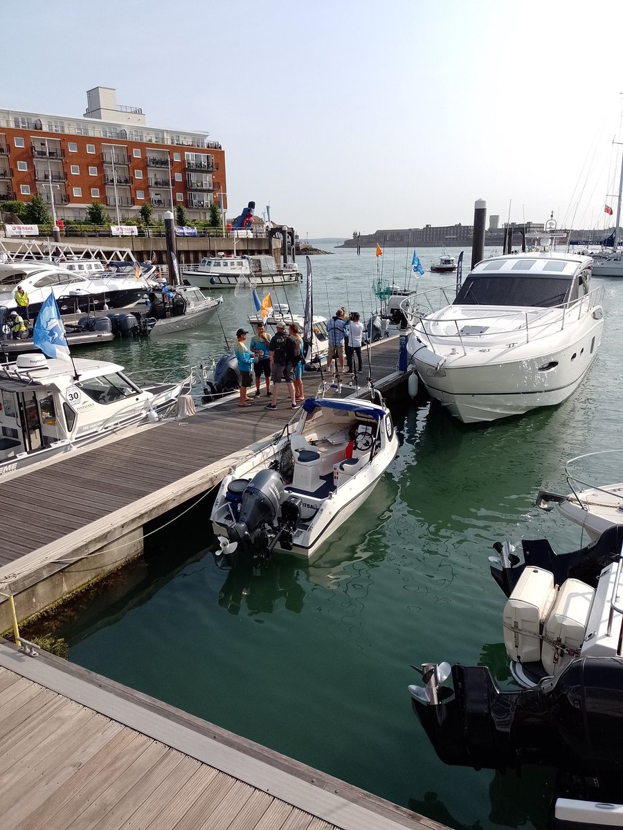 Kevin Hare tweet media