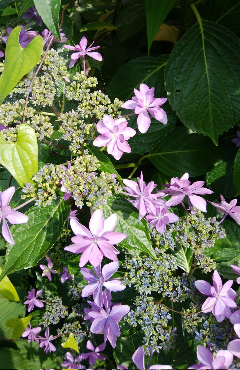 昨日のテニス　負けて悔しさが残った年齢的なもの体調等考えると、仕方ないか　しかし精神的なものは変わらない負ければ悔しい勝てばうれしい。衰えは誰にもくるか・・・。

女性高額収入 
 taa1341.web.fc2.com/ad3.html