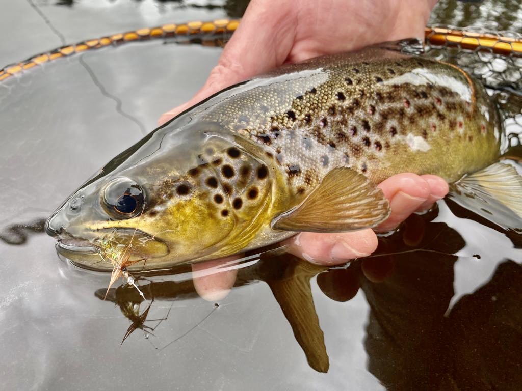 Visit Wales #FishingInWales #Llyns