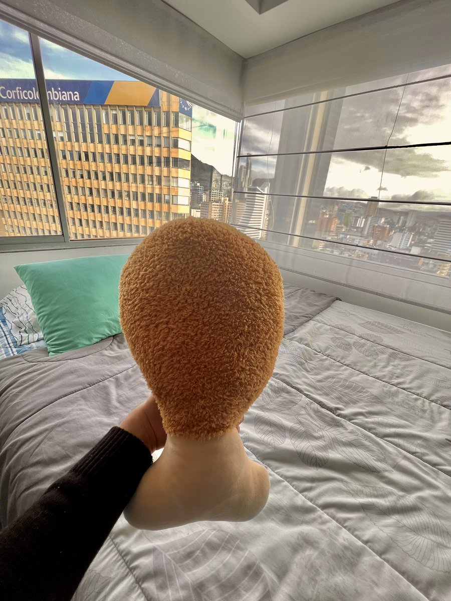 mejillas_'s tweet photo. Felij con mi pata de pollo de miniso 🥰 https://t.co/M9cqKzMZta