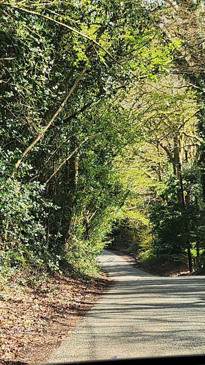 Where I live. #grayshott #beauty #counrtylane #countryside #naturaltherapy #CancerResearch  #ovariancancer