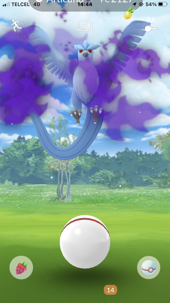 SaanAlvarez tweet media