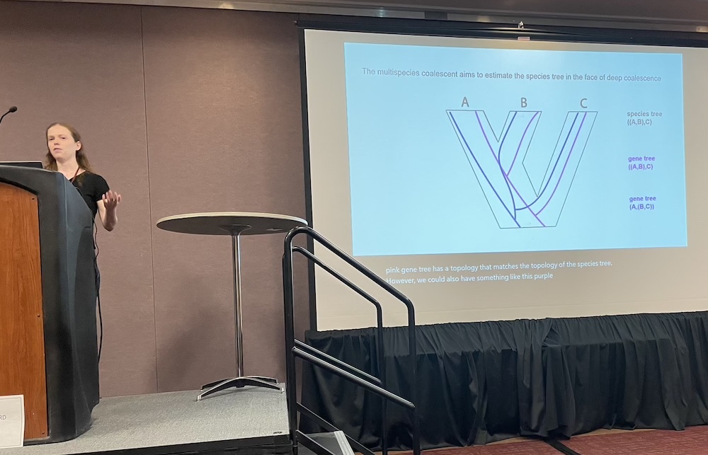 Paul Lewis (@polewis) on Twitter photo An awesome talk by <a href="/uconneeb/">UConn EEB Department</a> grad <a href="/AnalisaMilkey/">Analisa Milkey</a> on her sequential Monte Carlo approach to sampling from the multispecies coalescent model! #Evol2023 An awesome talk by <a href="/uconneeb/">UConn EEB Department</a> grad <a href="/AnalisaMilkey/">Analisa Milkey</a> on her sequential Monte Carlo approach to sampling from the multispecies coalescent model! #Evol2023