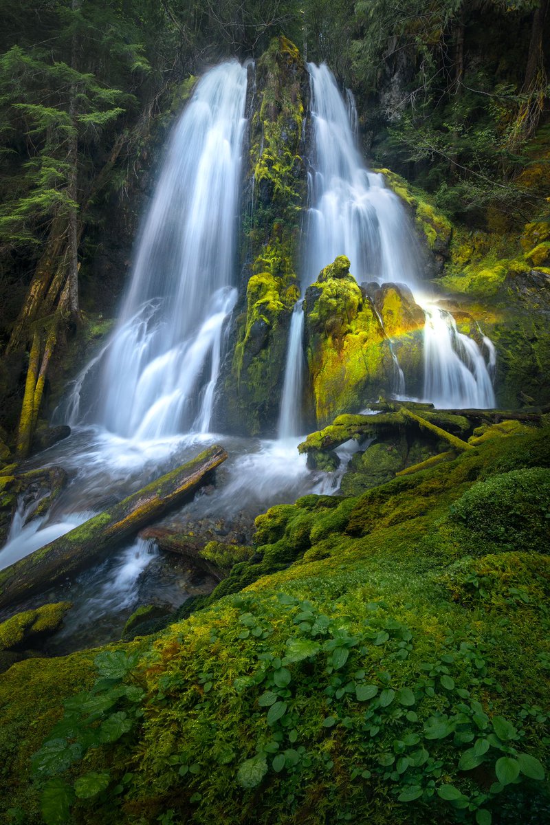 marlon_holden's tweet photo. Off grid ~ https://t.co/SnKshBSC0W