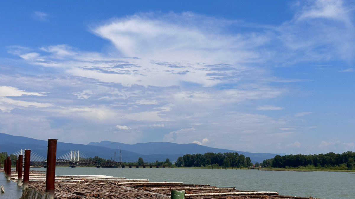 The #SasquatchStriker as seen from the shores of the #PittRiver in #PortCoquitlam #BC — local terrain aiding in the development of #thunderstorms over the various subranges of the #CoastMountains

#ShareYourWeather #BCwx #BCstorm