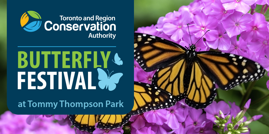 Save the date! To wrap up #PollinatorWeek, we’re excited to announce that the annual TRCA Butterfly Festival will return to Tommy Thompson Park this summer on August 19, 2023! 

Stay tuned for more details coming soon! 🦋 

#TRCAEvent #TRCAButterflyFestival #FeelTheFlutter